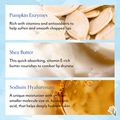 Gilmore Girls x Bliss Pumpkin Powerhouse Soothing & Exfoliating Lip Mask