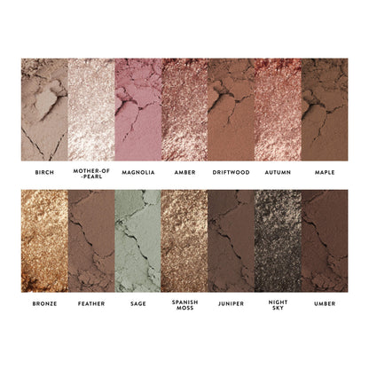 All Day Eye Kit (5 PC)